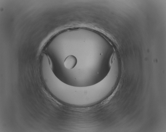 X0000073421502200608251537