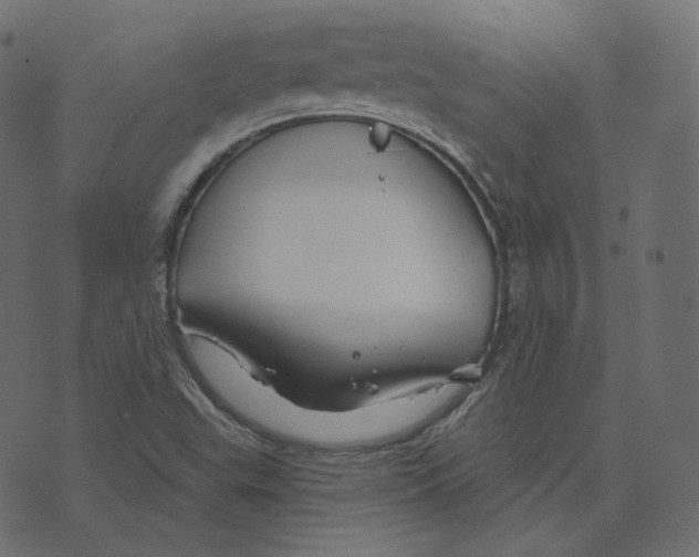 X0000073421503200608251537