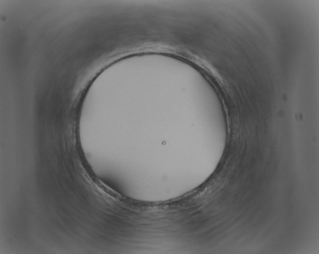 X0000073421504200608251537