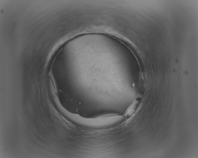 X0000073421506200608251537