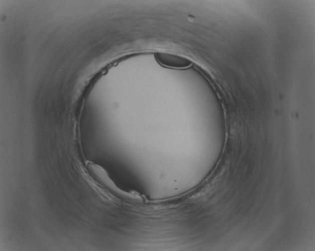 X0000073421507200608251537