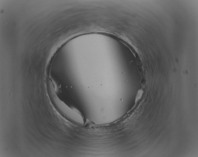 X0000073421508200608251537