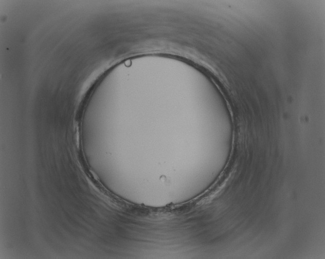 X0000073421509200608251537