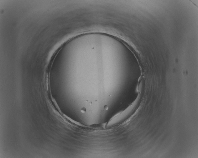 X0000073421510200608251537