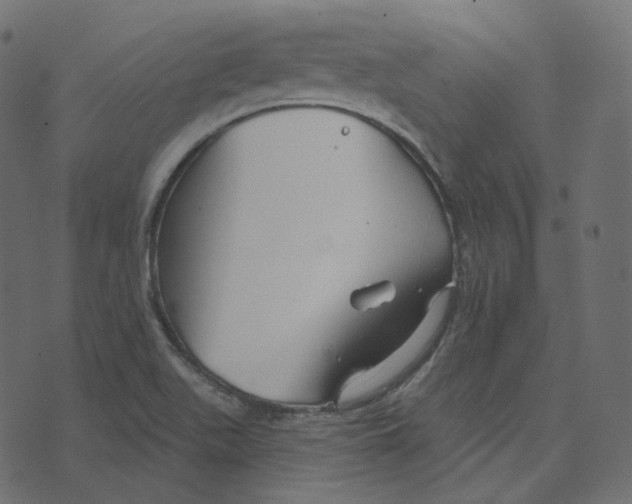 X0000073421511200608251537