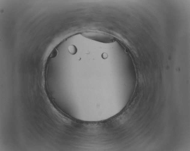 X0000073421512200608251537