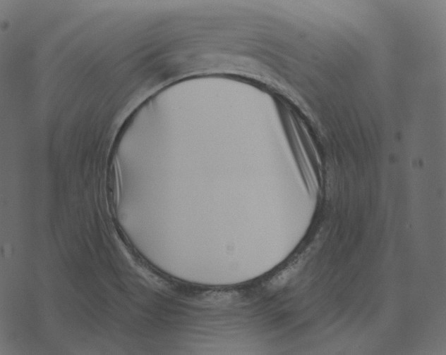 X0000073421513200608251537