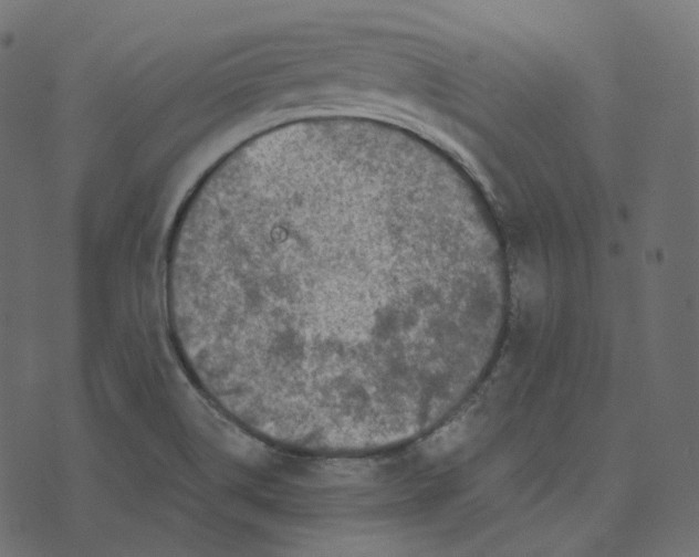 X0000073421514200608251537