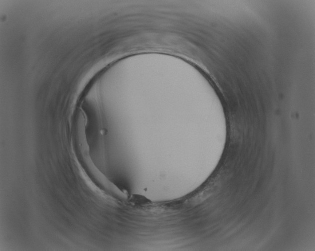 X0000073421515200608251537