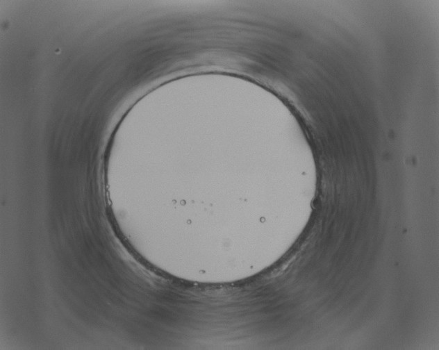 X0000073421516200608251537