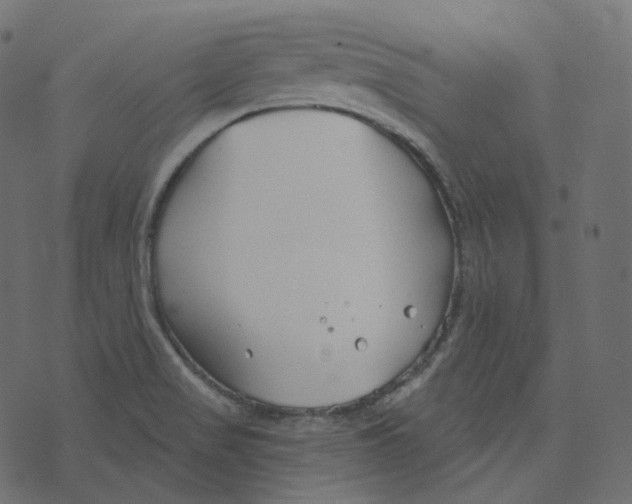 X0000073421517200608251537