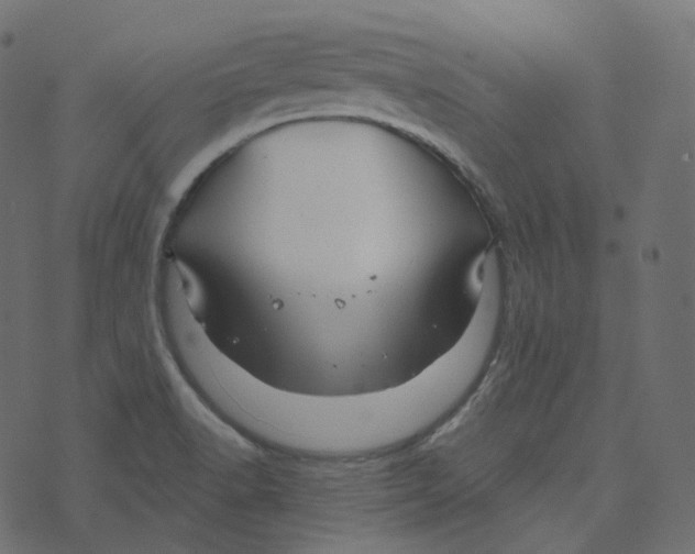 X0000073421518200608251537