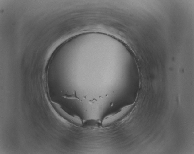 X0000073421519200608251537