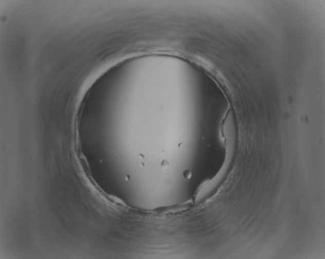 X0000073421520200608251537