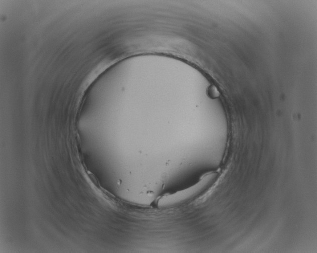 X0000073421521200608251537