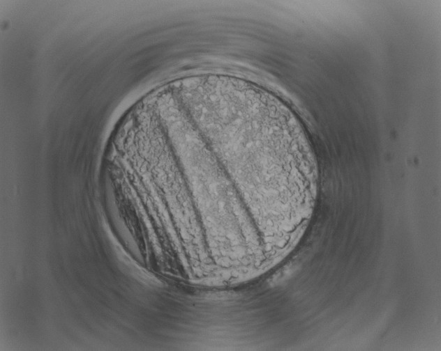 X0000073421522200608251537