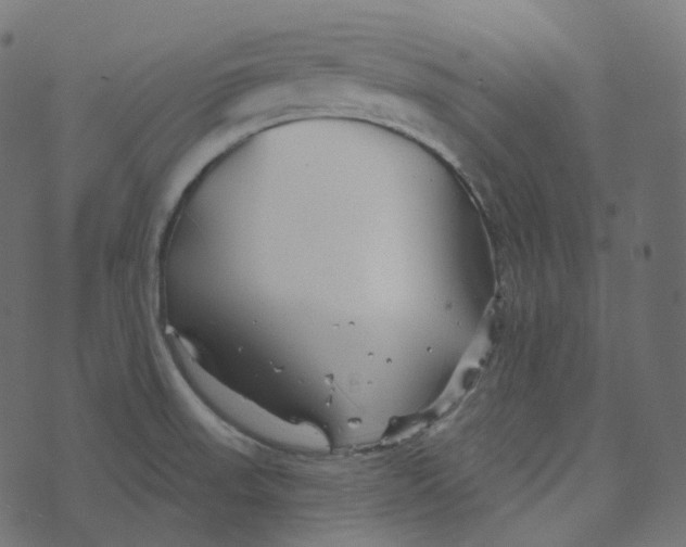 X0000073421523200608251537