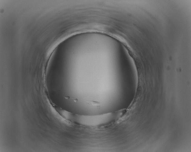 X0000073421524200608251537