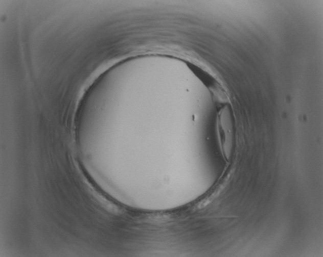 X0000073421525200608251537