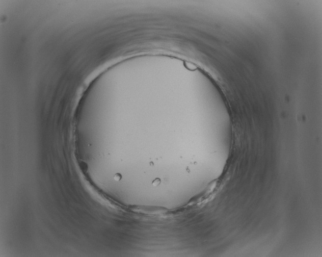 X0000073421526200608251537