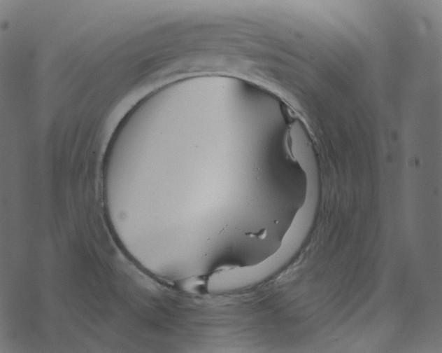 X0000073421527200608251537