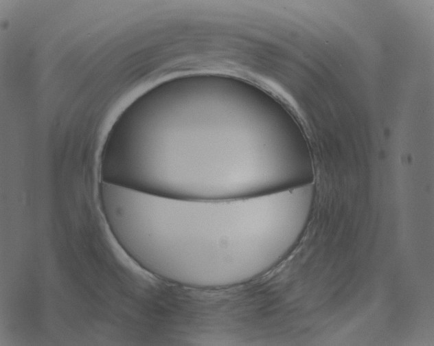 X0000073421528200608251537