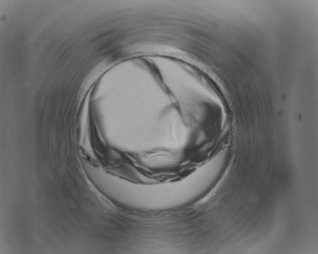 X0000073421529200608251537