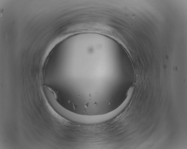 X0000073421531200608251537