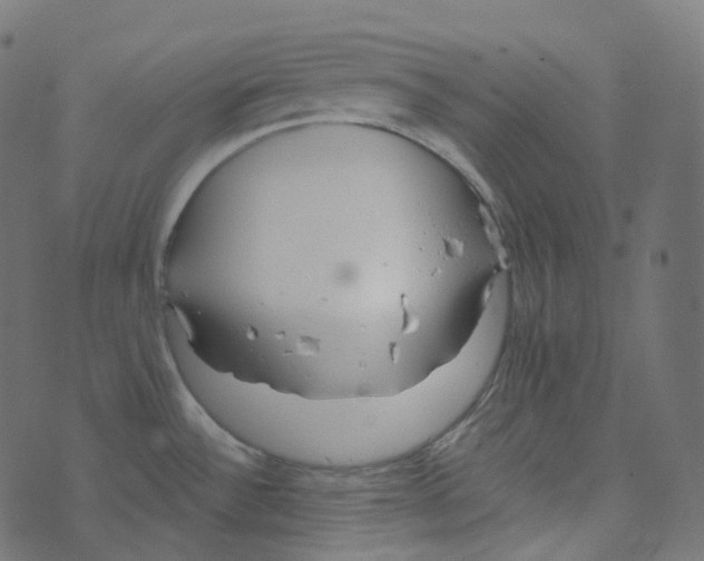 X0000073421532200608251537