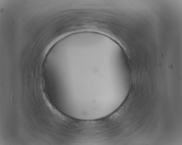 X0000073421534200608251537