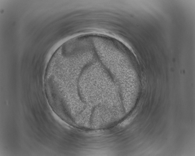 X0000073421535200608251537