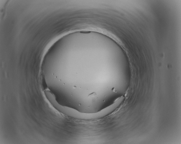 X0000073421536200608251537