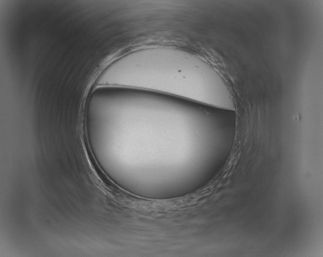 X0000073430003200607281017