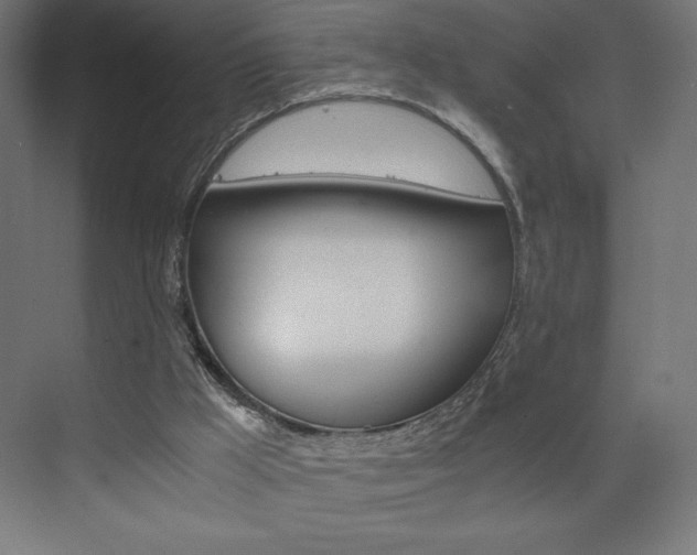 X0000073430009200607281017