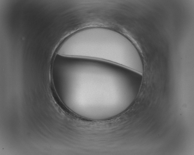 X0000073430011200607281017