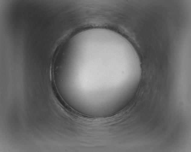 X0000073430019200607281017