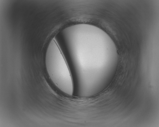 X0000073430020200607281017