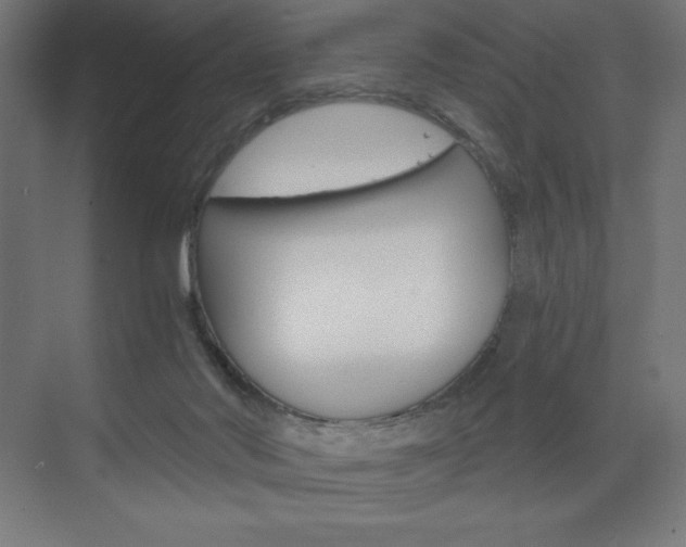 X0000073430022200607281017