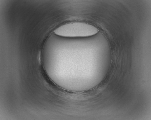 X0000073430024200607281017