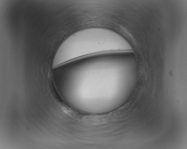X0000073430025200607281017