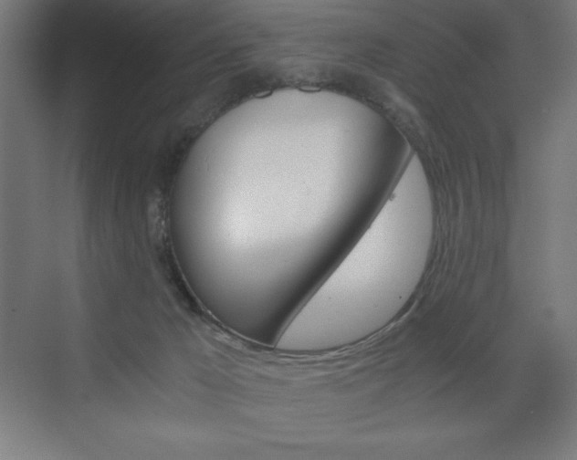 X0000073430029200607281017