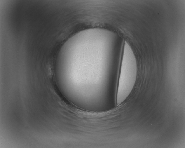 X0000073430039200607281017