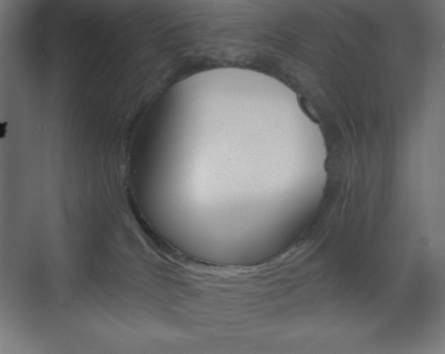 X0000073430040200607281016