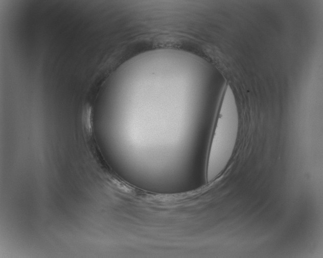 X0000073430041200607281016