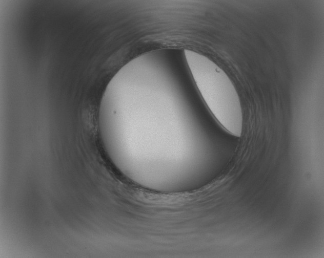 X0000073430044200607281016