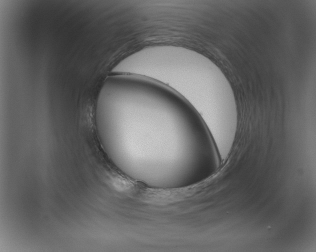 X0000073430045200607281016