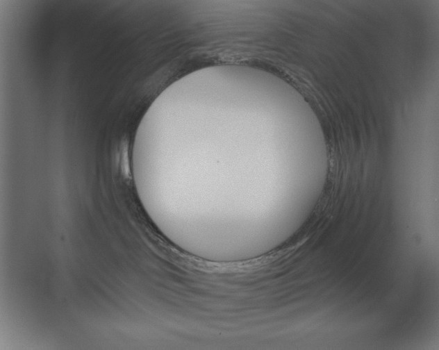X0000073430046200607281016