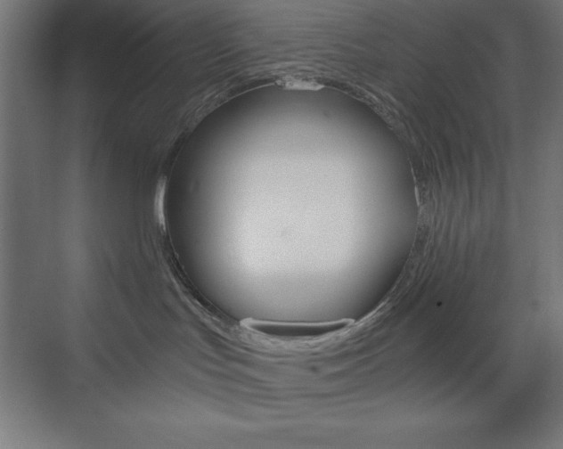 X0000073430047200607281016