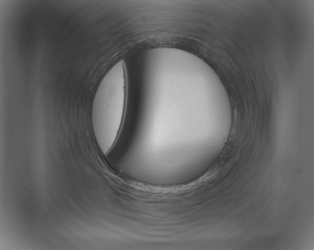 X0000073430048200607281016