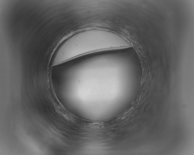 X0000073430050200607281016